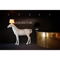 Koňská lampa - miniatura 11